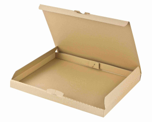 Versandkarton 255x190x30mm schnelle Aufrichtung Steckverschluss Maxibrief DHL briefkastentauglich Höhe 3cm A5 B5 braun